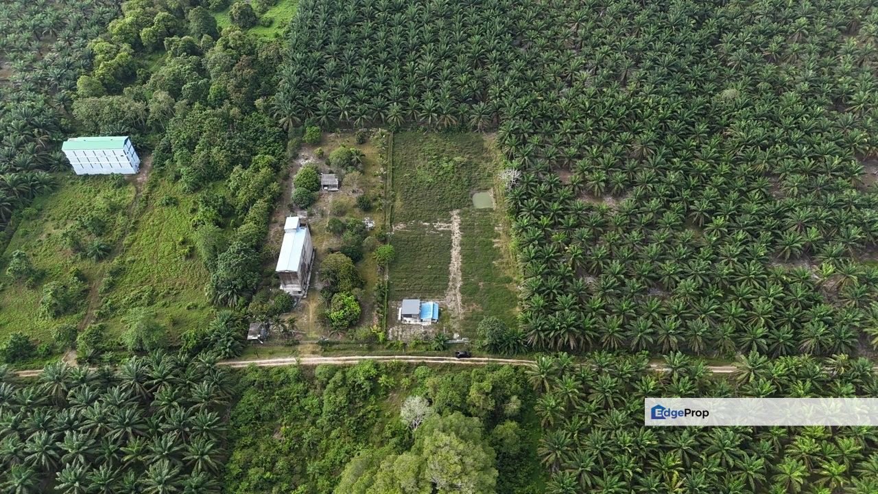 Sedili Kota Tinggi Land for Sale ‼️, Johor, Kota Tinggi