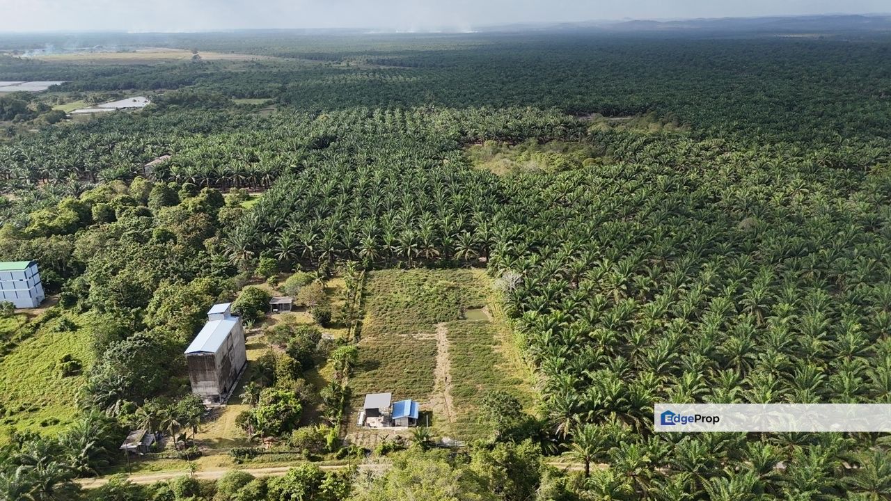 Sedili Kota Tinggi Land for Sale ‼️, Johor, Kota Tinggi