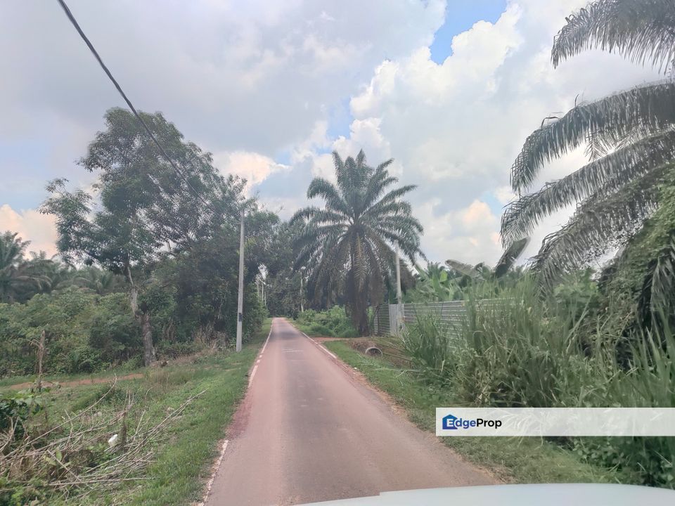 Simpang Renggam 1.75acre Land for Sale‼️, Johor, Kluang