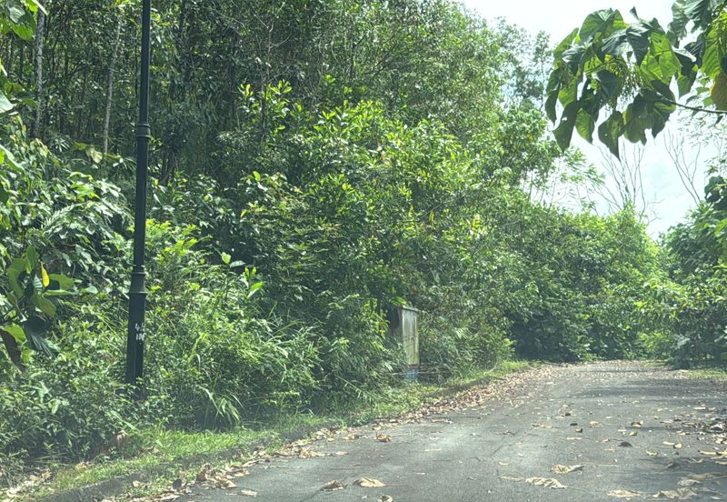 Taman Equine