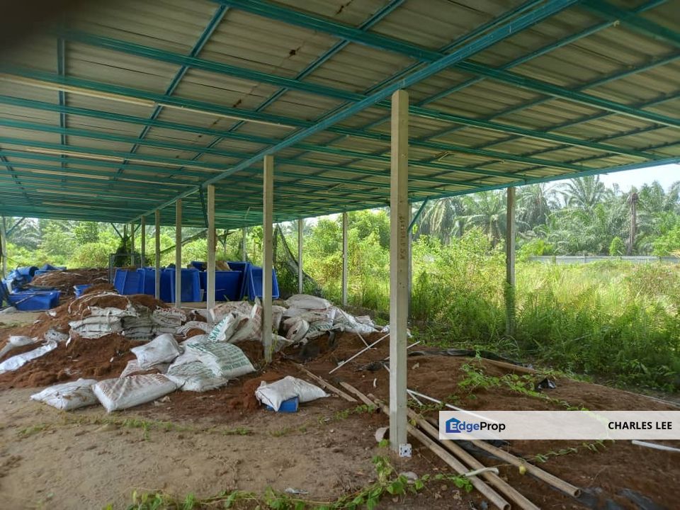 Jalan Kampung Batu 1 Kampung Api Api Kuala Selangor Bukit Rotan Assam Jawa Jeram Ijok , Selangor, Kuala Selangor