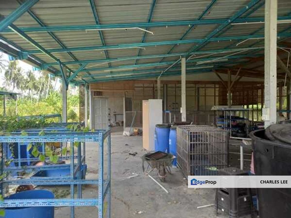 Jalan Kampung Batu 1 Kampung Api Api Kuala Selangor Bukit Rotan Assam Jawa Jeram Ijok , Selangor, Kuala Selangor