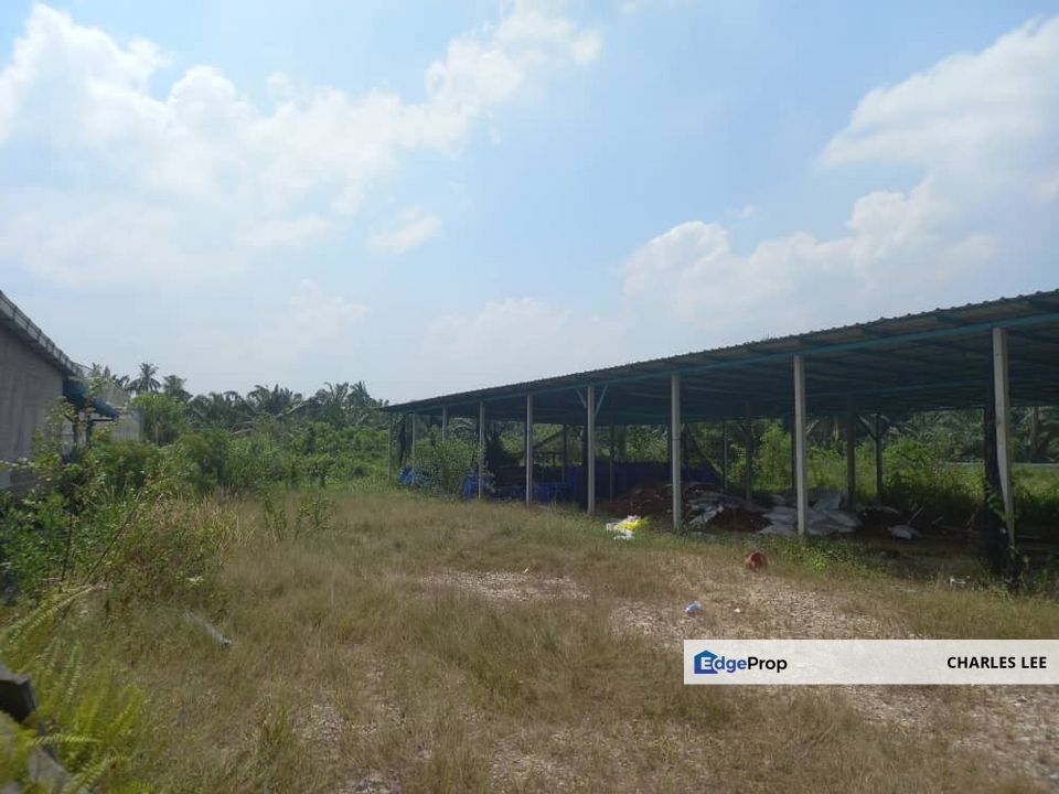 Jalan Kampung Batu 1 Kampung Api Api Kuala Selangor Bukit Rotan Assam Jawa Jeram Ijok , Selangor, Kuala Selangor