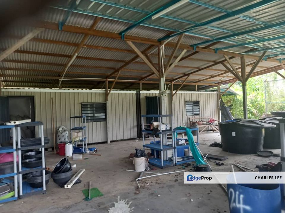 Jalan Kampung Batu 1 Kampung Api Api Kuala Selangor Bukit Rotan Assam Jawa Jeram Ijok , Selangor, Kuala Selangor