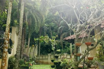 Residency, Kota Damansara