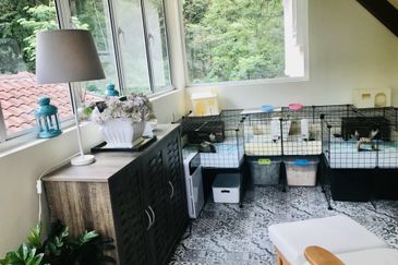 Residency, Kota Damansara