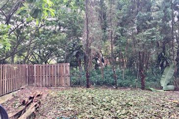 Big Garden Ample Car Parks Many Rooms