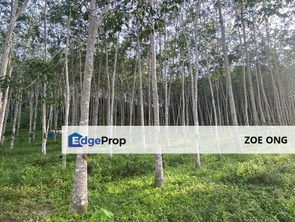 5 Acres Agri Land, Freehold, Selangor, Jenjarom