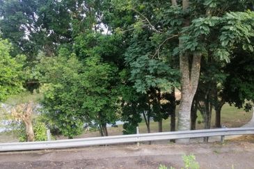 Seksyen 5, Kota Damansara