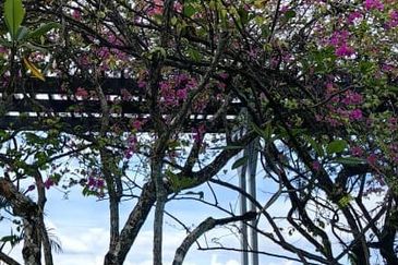 202 DC (Desa Cahaya)