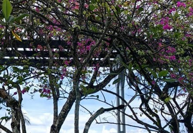 202 DC (Desa Cahaya)