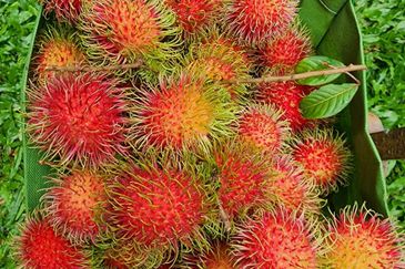 Seksyen 6, Kota Damansara