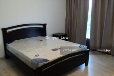 Empire City Halo Sunday