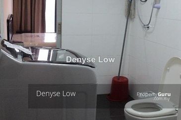 Empire City Halo Sunday