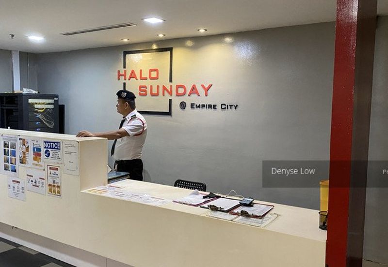 Empire City Halo Sunday