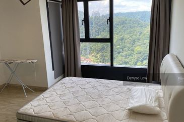 Empire City Halo Sunday