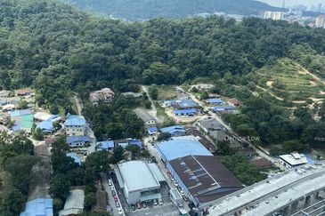 Empire City Halo Sunday