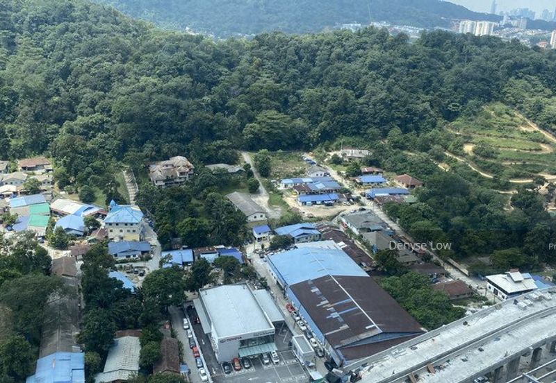 Empire City Halo Sunday