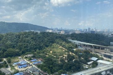 Empire City Halo Sunday