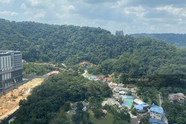 Empire City Halo Sunday