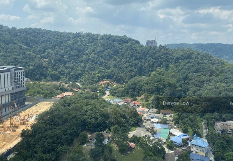 Empire City Halo Sunday