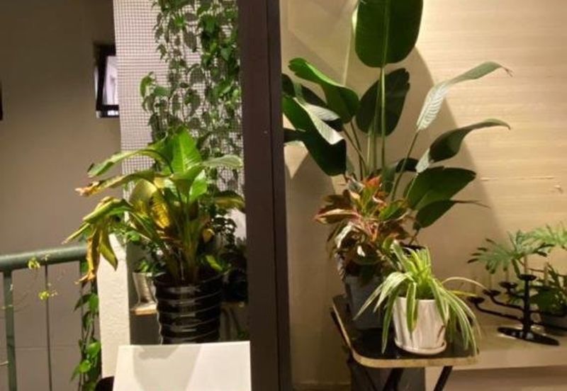 Mutiara Oriental Condominium