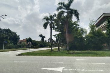 9.41 acres Freehold Agriculture Land Zone Industrial