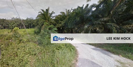 Kampung Ijok, Bestari Jaya, 3.658 acres Agriculture Land For Sale, Freehold, Malay Reserved Land, Selangor, Kuala Selangor