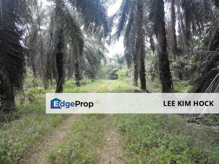 3 ac Agriculture Land Zone Industrial In Jenjarom, Telok Panglima Garang For Sale, Selangor, Jenjarom