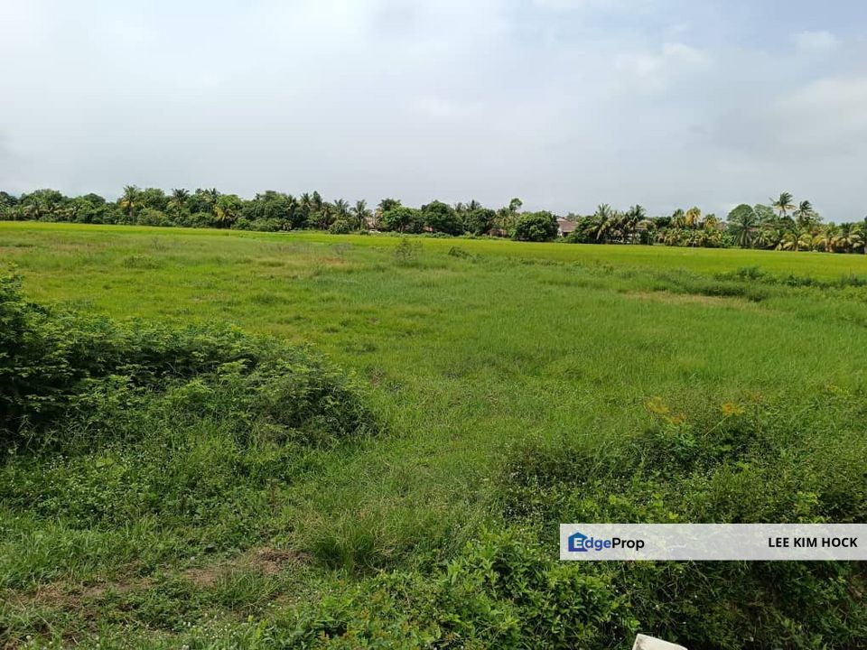 2.224 acres Freehold Agriculture Land In Kampung Teluk Banu, Padang Serai, Kedah For Sale, Kedah, Kulim