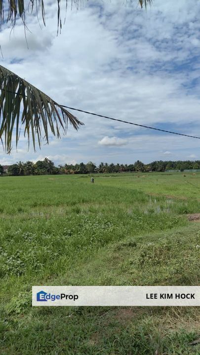 2.224 acres Freehold Agriculture Land In Kampung Teluk Banu, Padang Serai, Kedah For Sale, Kedah, Kulim