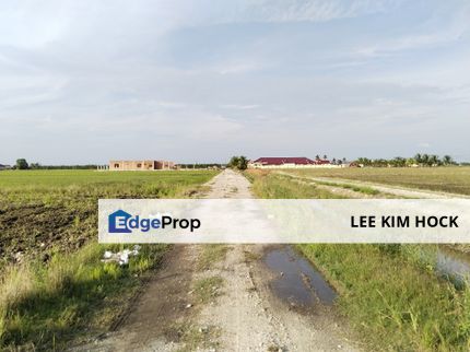 3 acres Paddy Land In Sekinchan, Tanjung Karang For Sale, Selangor, Sekinchan