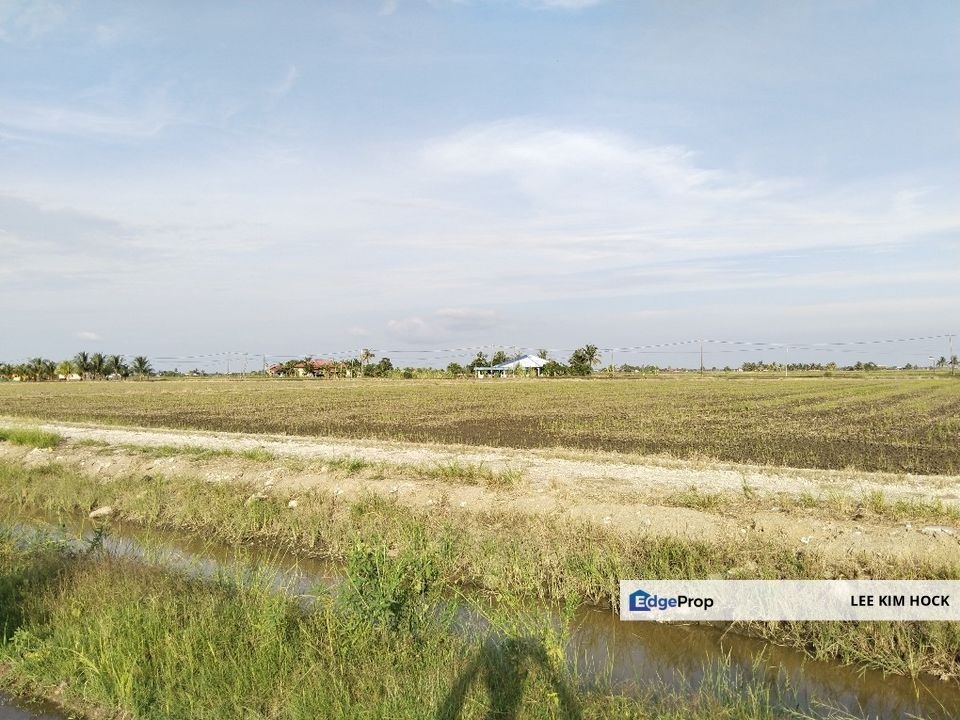 3 acres Paddy Land In Sekinchan, Tanjung Karang For Sale, Selangor, Sekinchan