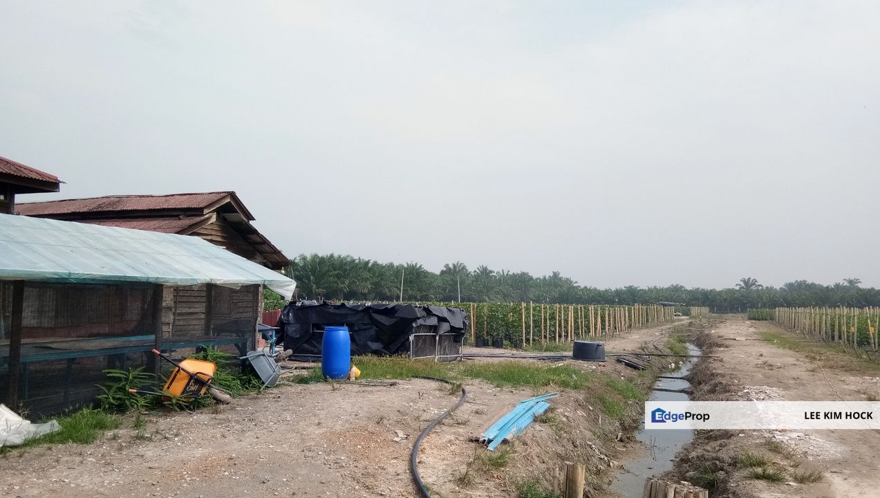 5 Acres Freehold Land In Batu 20, Jalan Kapar For Sale, Selangor, Klang