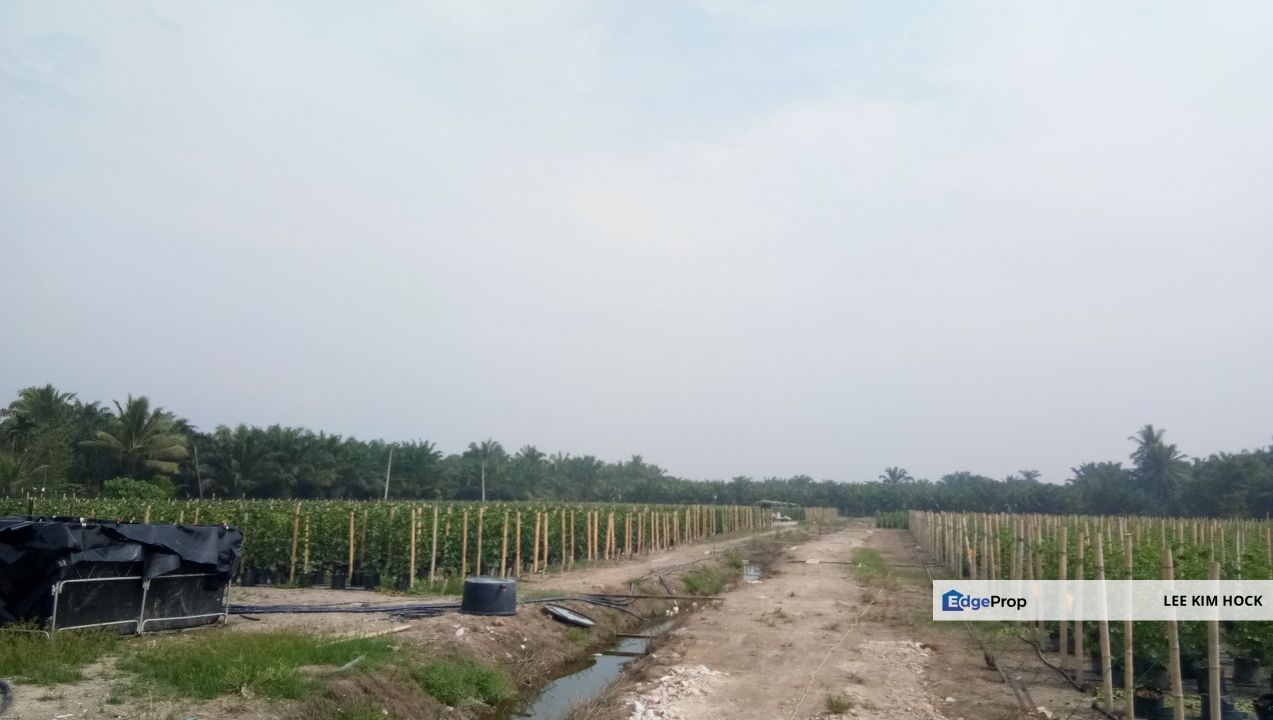 5 Acres Freehold Land In Batu 20, Jalan Kapar For Sale, Selangor, Klang