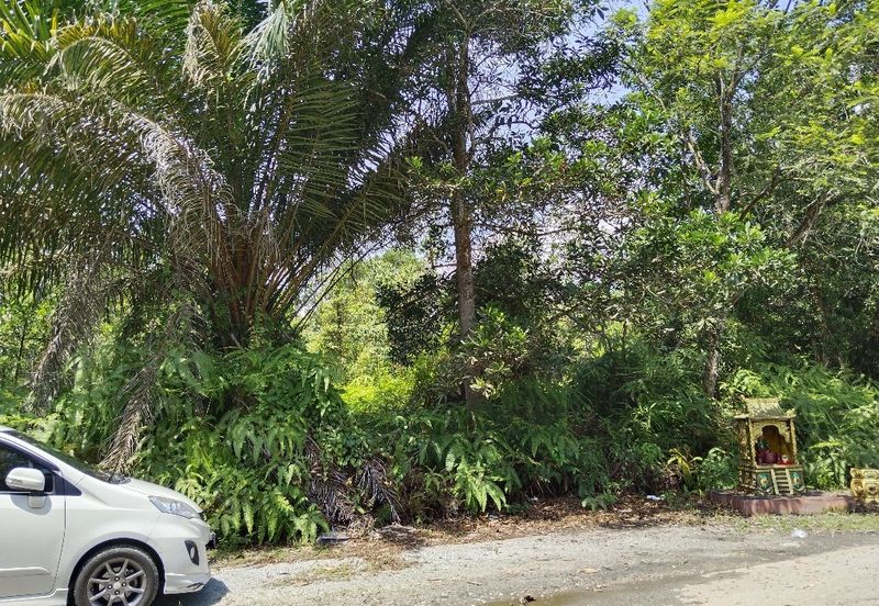 Tanjung Malim Industrial Park