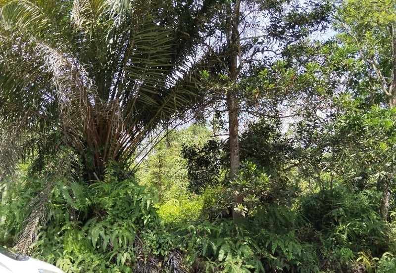 Tanjung Malim Industrial Park