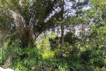 Tanjung Malim Industrial Park