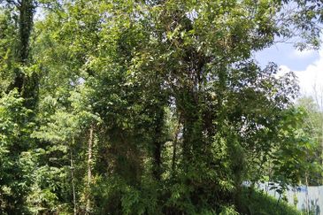 Tanjung Malim Industrial Park