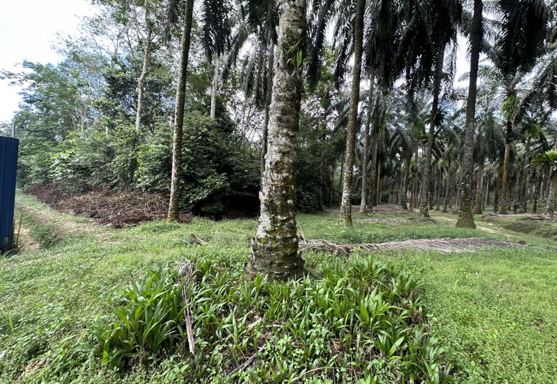 Pekan Ulu Yam (Baru)