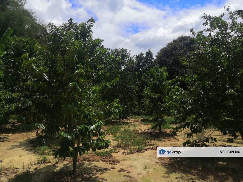 Agricultural Land at Mantin for sale, Negeri Sembilan, Mantin