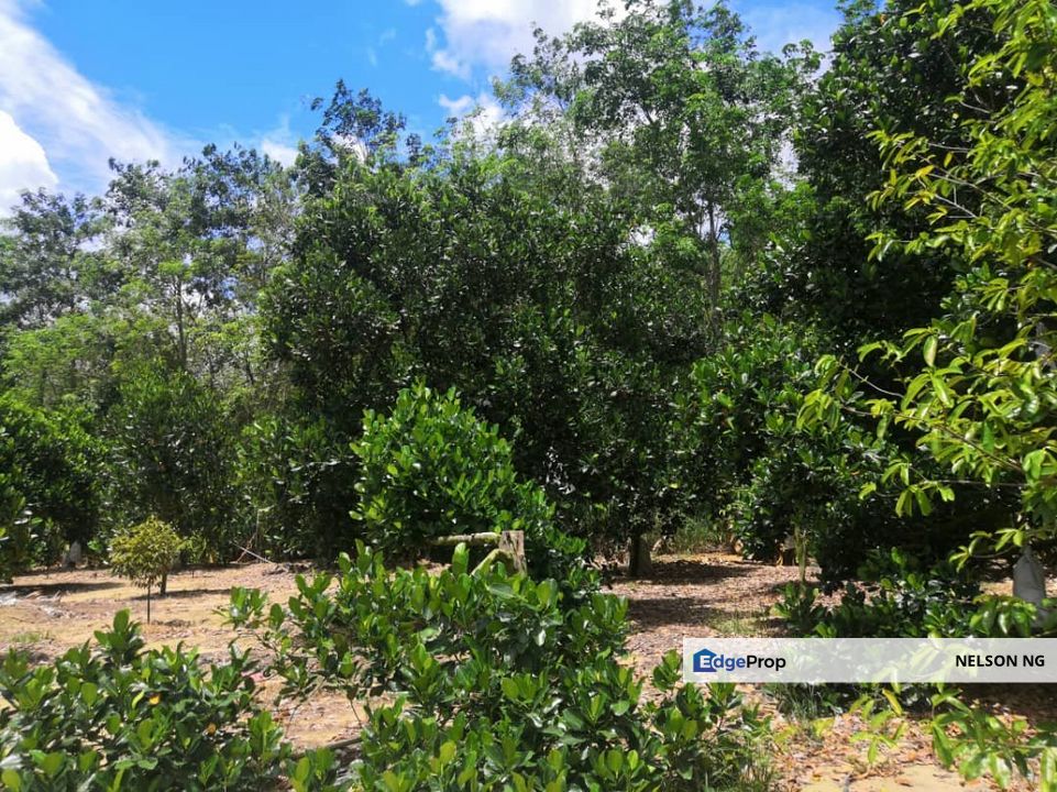 Agricultural Land at Mantin for sale, Negeri Sembilan, Mantin