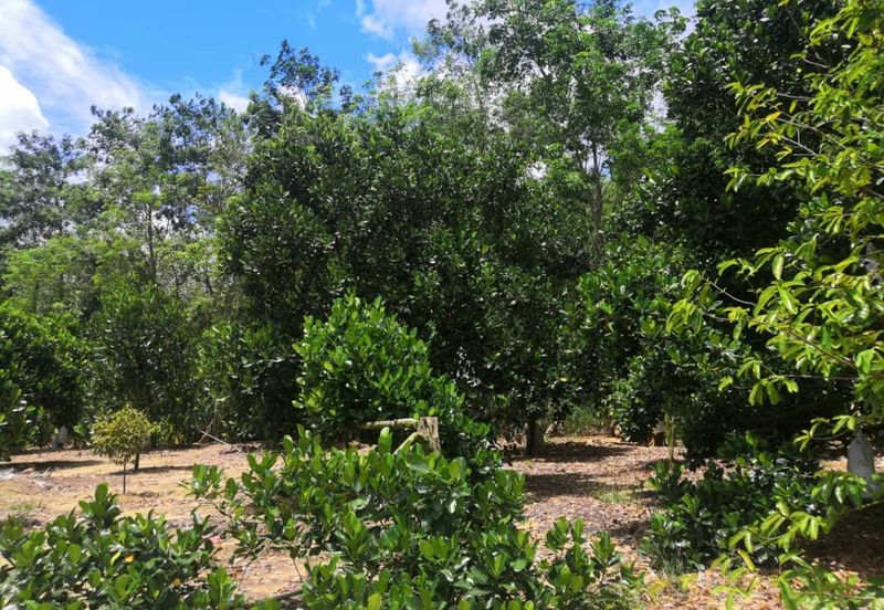 JALAN PAJAM - MANTIN