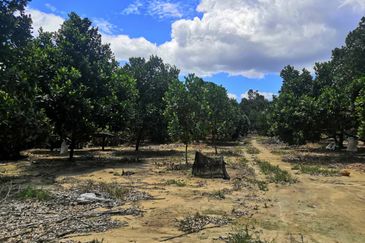 JALAN PAJAM - MANTIN