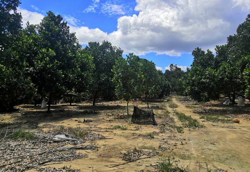 JALAN PAJAM - MANTIN