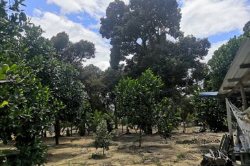 JALAN PAJAM - MANTIN