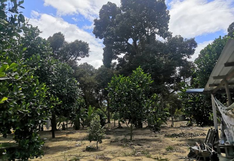 JALAN PAJAM - MANTIN