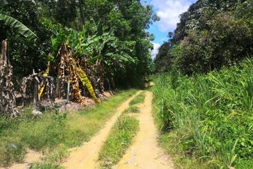 JALAN PAJAM - MANTIN