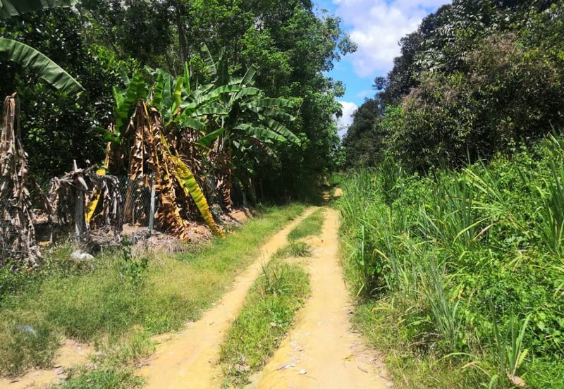 JALAN PAJAM - MANTIN