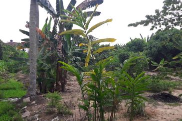 JALAN SEREMBAN-SIKAMAT